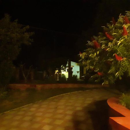 Village House Moo Moo Vranje Exterior foto