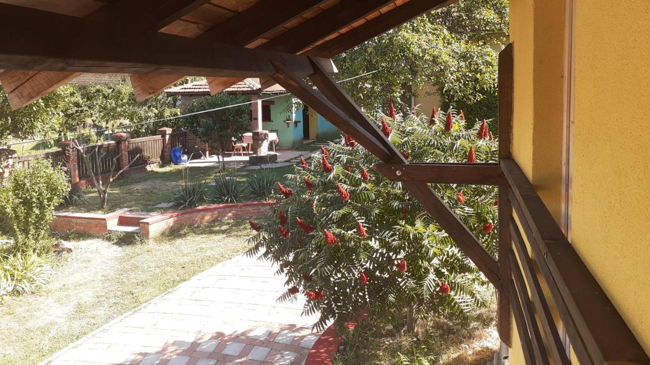 Village House Moo Moo Vranje Exterior foto